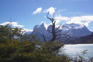 Südamerika - Geographie - Patagonien