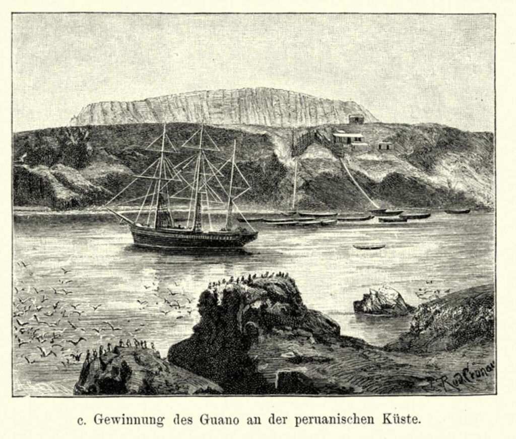 Peru Chincha Guano 4 1920